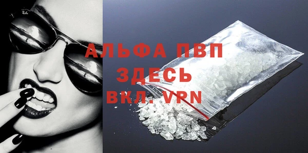 ECSTASY Богданович
