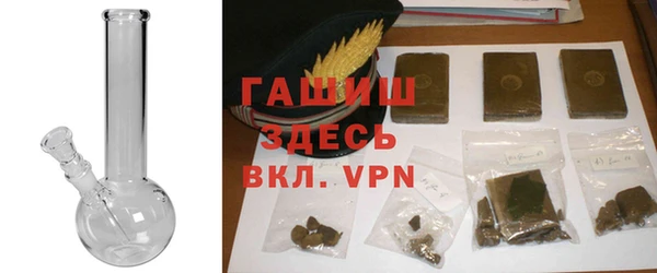 ECSTASY Богданович