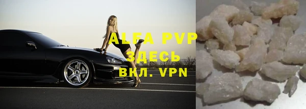 ECSTASY Богданович