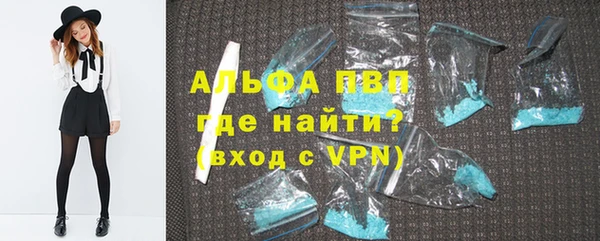 ECSTASY Богданович