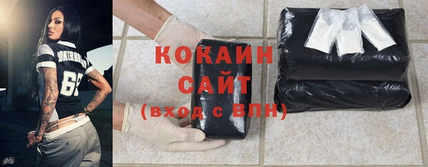 ECSTASY Богданович