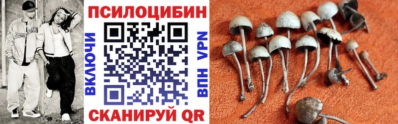Псилоцибиновые грибы GOLDEN TEACHER  купить   Красногорск 